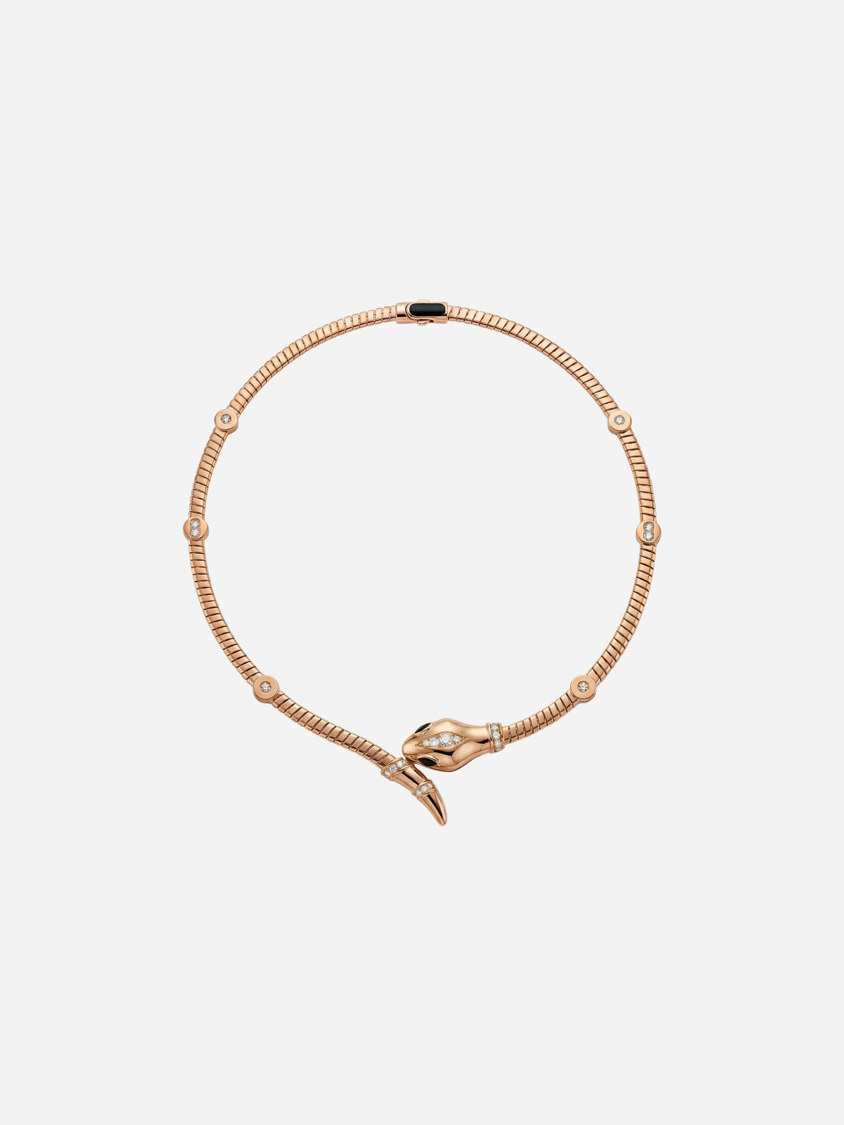 Snake Chain Collar